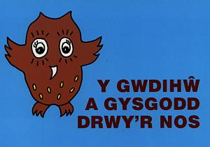 Cyfres Project Llyfrau 3D: Gwdihŵ A Gysgodd Drwy'r Nos, Y